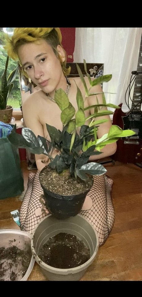 punkfrog beautiful pornstar img