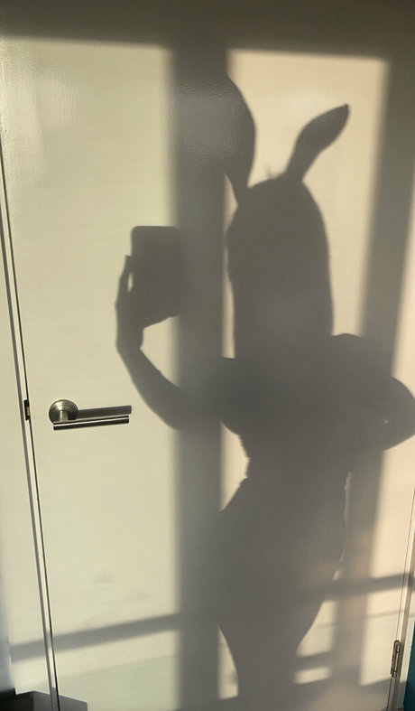 Jaygray2020 pretty pornstar archive