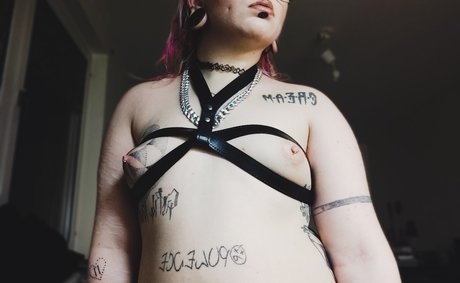 bitxhcraft pornographic star archive