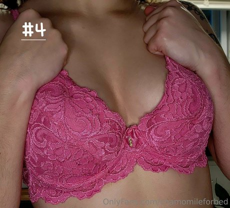 chamomileforbed adult star photo