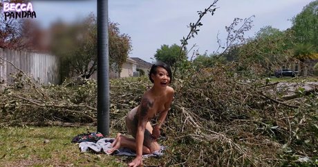 AsianKoreanGirl pornstar naked gallery