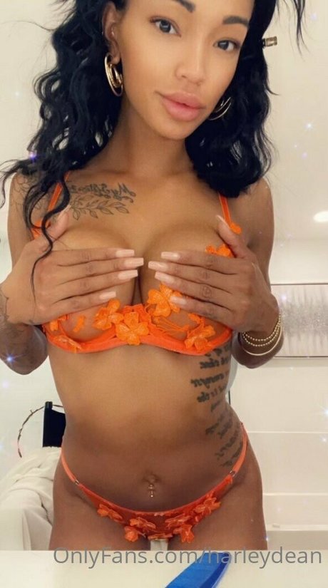 harleydean nudes pornstar pictures