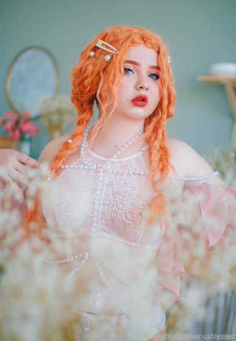 venusblessed star top photo