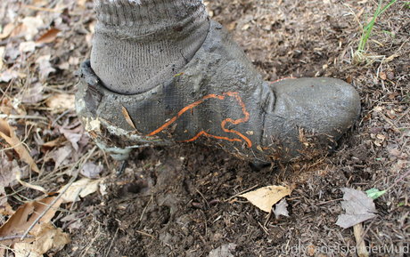 leggings onlyfans sexy xxx image