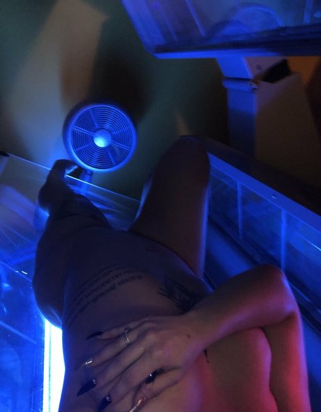 mshollywood100 star porn pictures