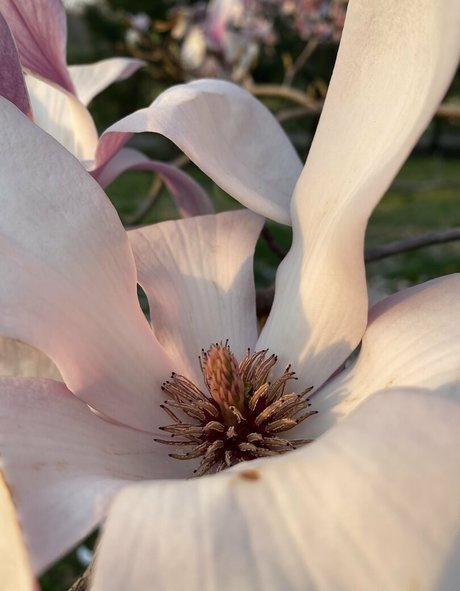 seitansm1stress nudes pornstar img