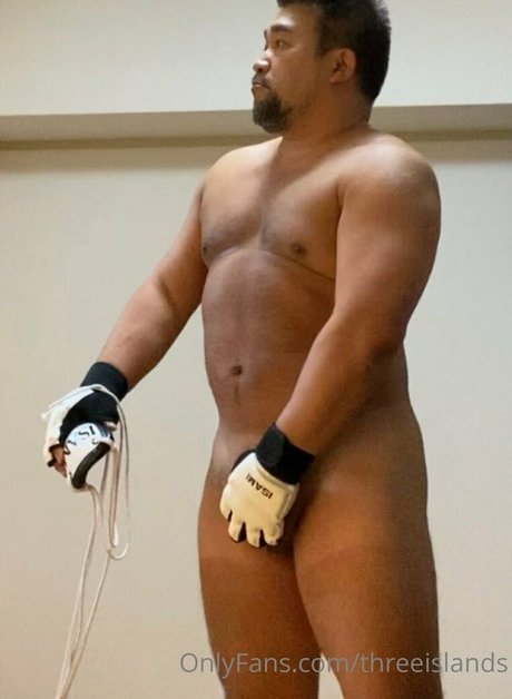 threeislands art pornstar gallery