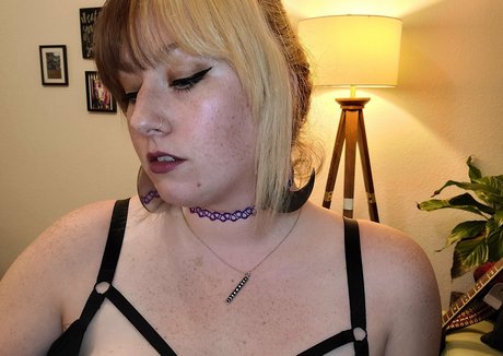 dominosweets star free galleries