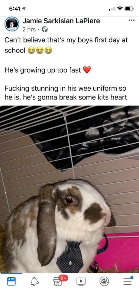 lothianjamie star nudes gallery