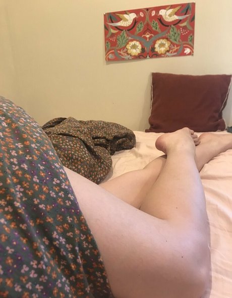 lavocado pornographic star picture