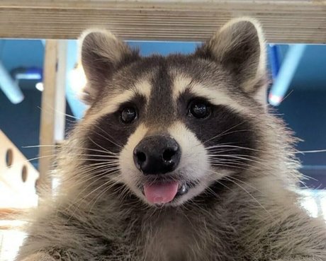 maskkim nudes pornstar photo