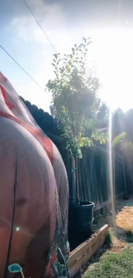 Jessica Miller pornographic actress img