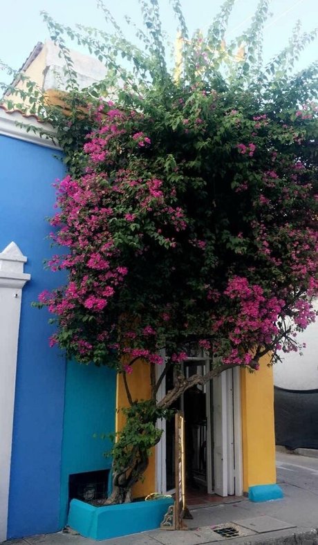 galacticgypsy28 art model pic