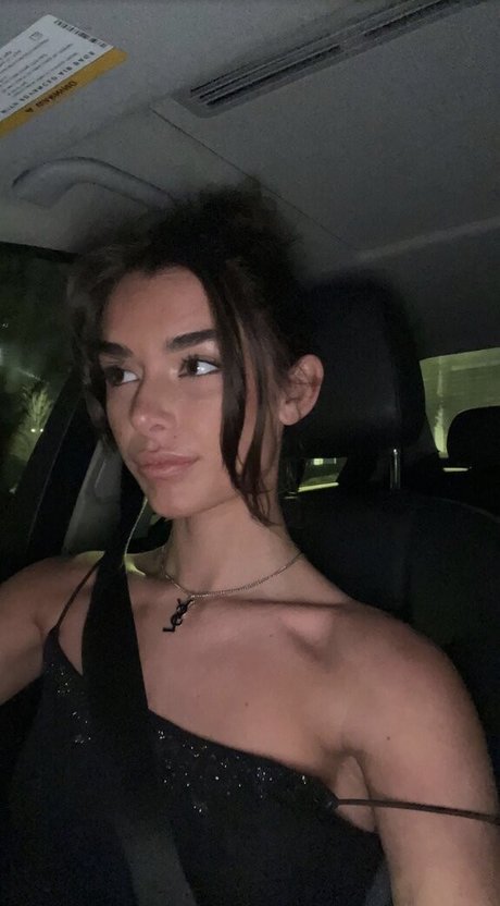 Schlenker Sisters naked actress picture