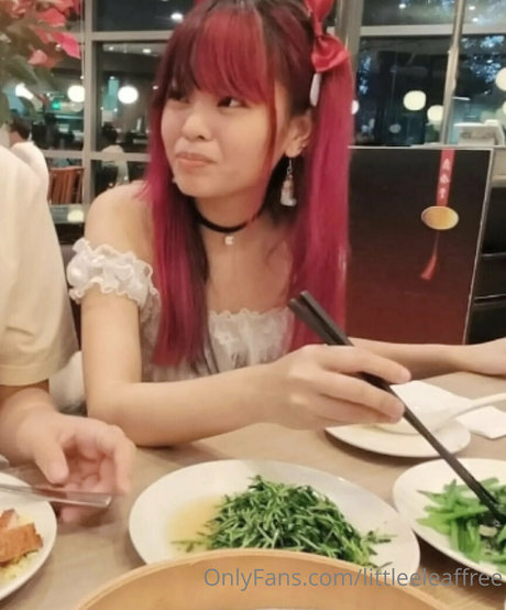 littleeleaffree best star picture