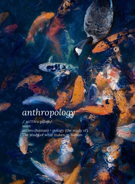 catgod x star hd galleries