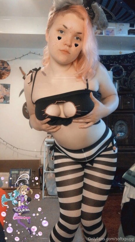 softxpupp high quality model archive