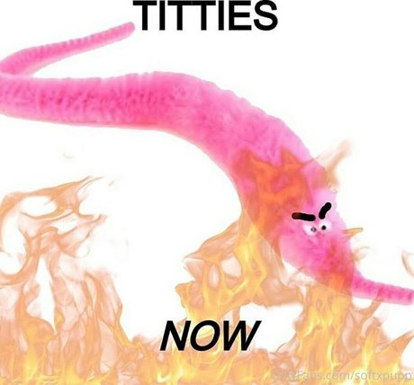 softxpupp porn star archive