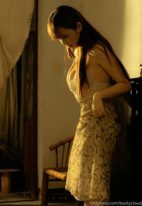 buckycloud top model img