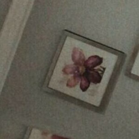 Kittenjojo18 high quality actress picture