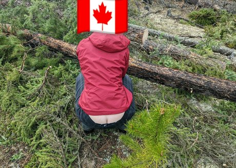 abigailfoxe high quality star gallery