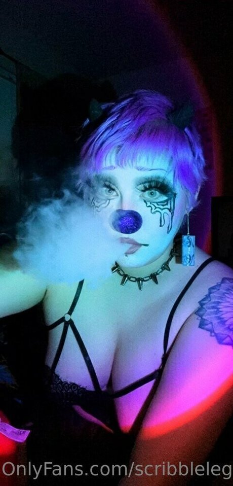 scribblelegs star best photo