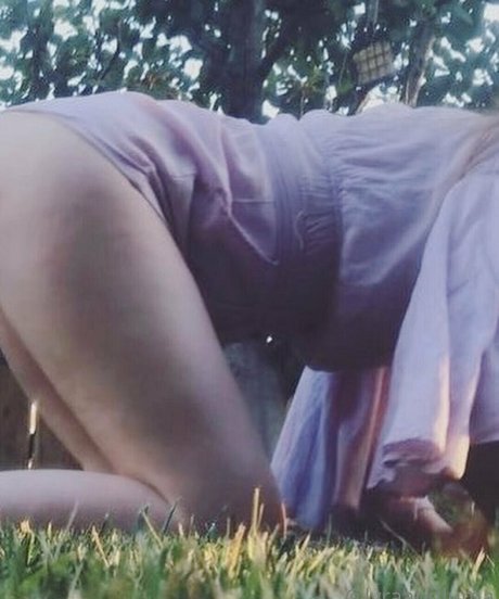 lyraandluma star beautiful photo