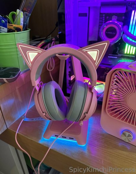 peachsoju princess model art archive