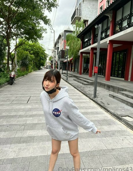 Moiicos star gallery