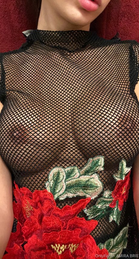 Amira Brie best pornstar image