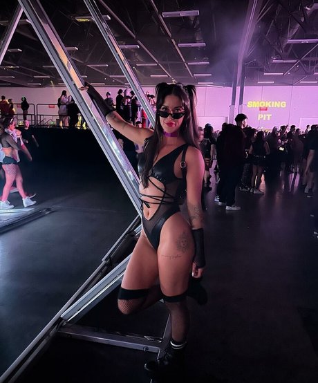 The Peach at the Beach art star picture