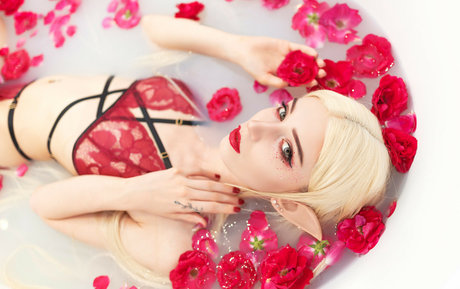 WhiteFox star pornographic img