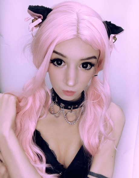 WhiteFox Profile pic