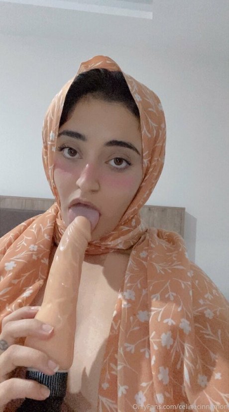 The Celine Cinnamon best model pics