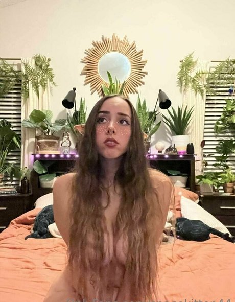 Space kitten44 pornstar pretty archive