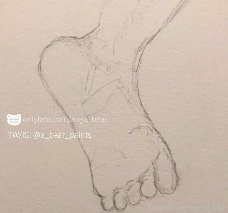 anya bear star best picture