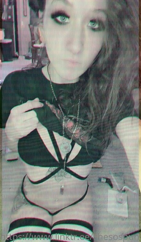 spunbunny nice pornstar pic