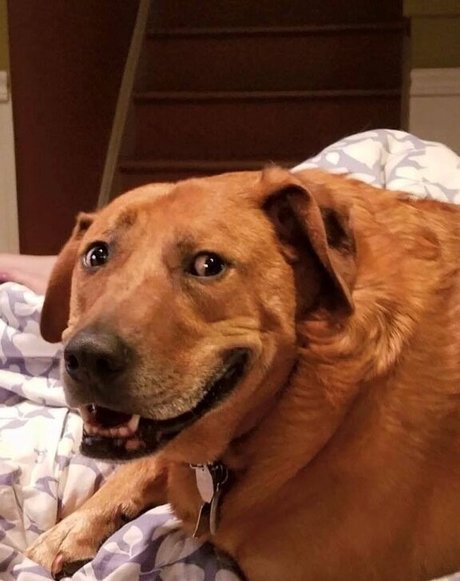 small cock onlyfans free naked images