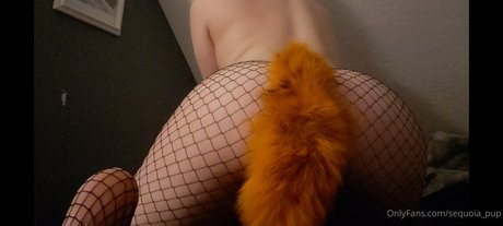 sequoia pup model exclusive pics