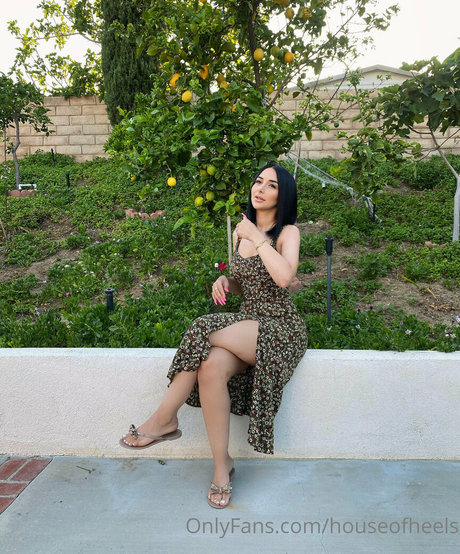 jo ashh exclusive actress gallery