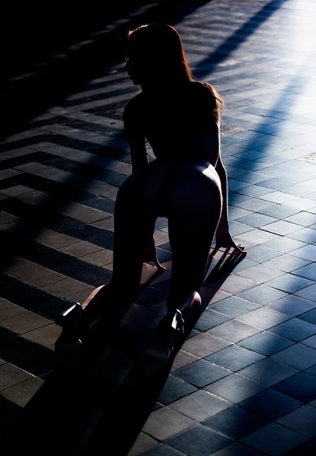 Daisy Olie pornstar hd pics