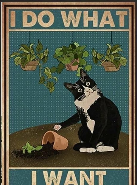 lovesickfordick model sexy pic