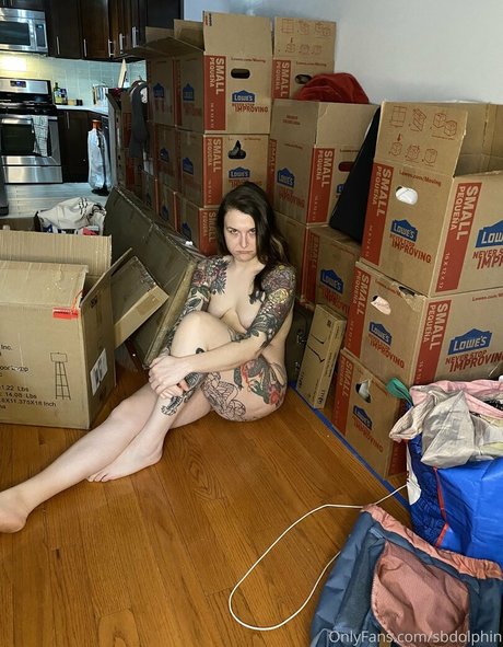 sbdolphin pornstar hot picture