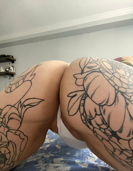 sbdolphin model pretty picture