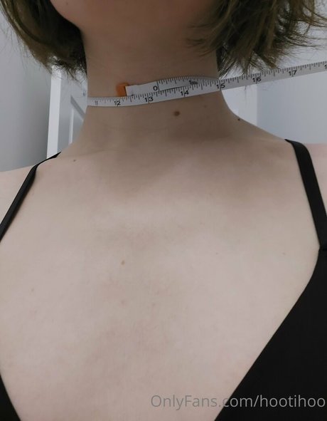 hootihoo hd model archive