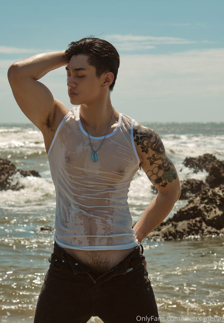 thetcornervn sexy pornstar pics