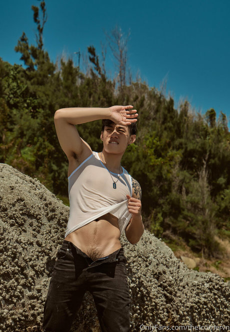 thetcornervn pornstar sex archive