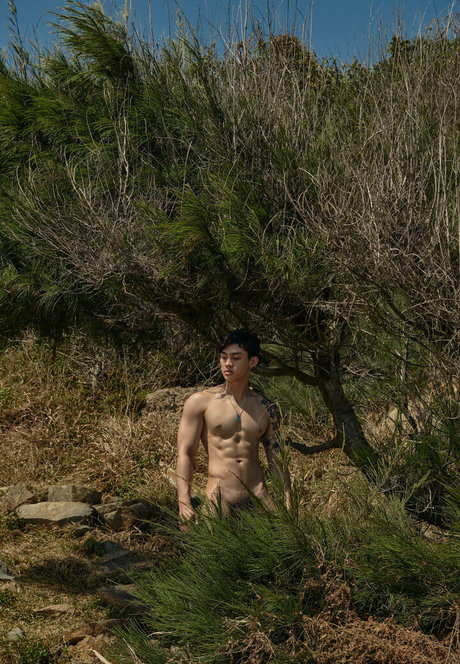 thetcornervn model free image