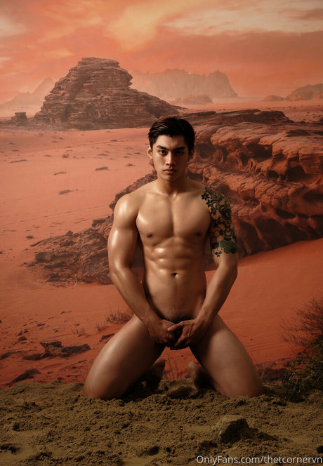 thetcornervn model nude pics