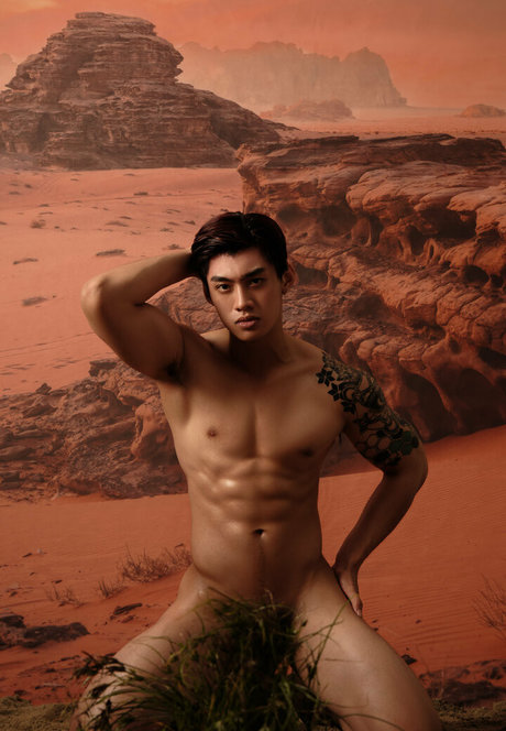 thetcornervn star porn pic